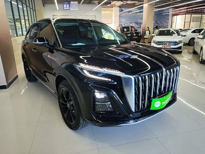 Hongqi HS3 Hybrid, 2025 — фото 4 из 9