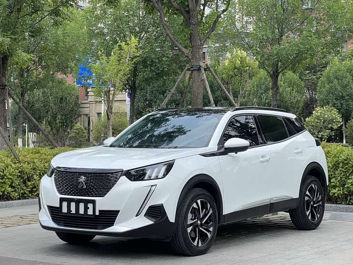 Peugeot 2008, 2023 — купить в Рязани под ключ
