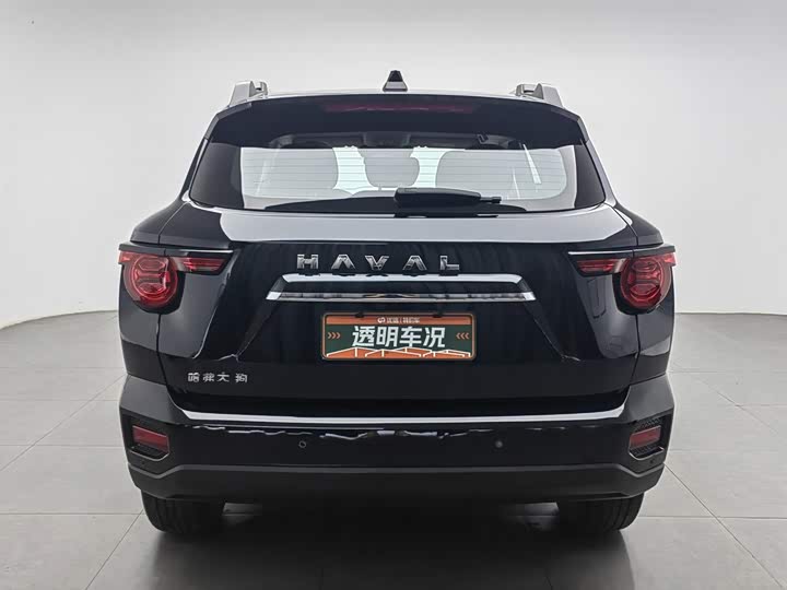 Haval H-Dog, 2025 — фото 4 из 9