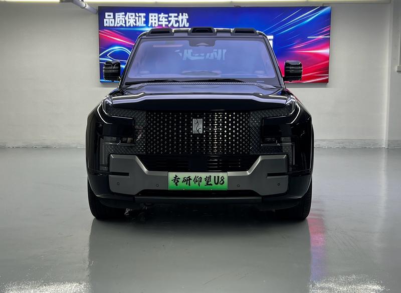 BYD Yangwang U8, 2024 — фото 2 из 11