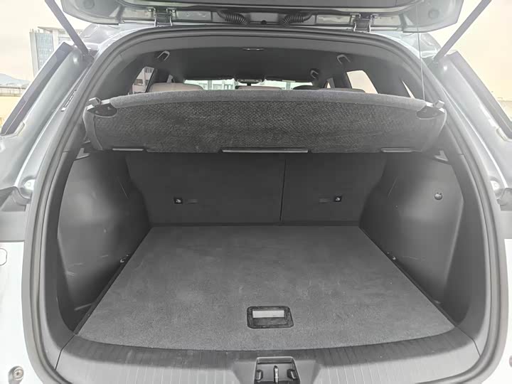 BYD Song Pro Hybrid, 2023 — фото 9 из 9