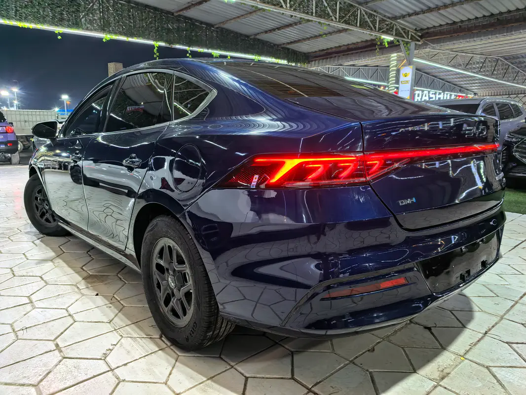 BYD Qin Plus, 2026 — фото 6 из 10