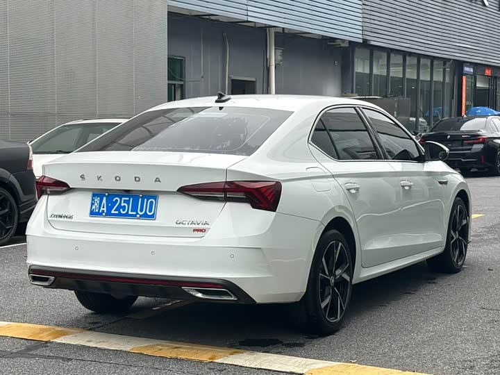 Skoda Octavia Pro, 2024 — фото 8 из 9
