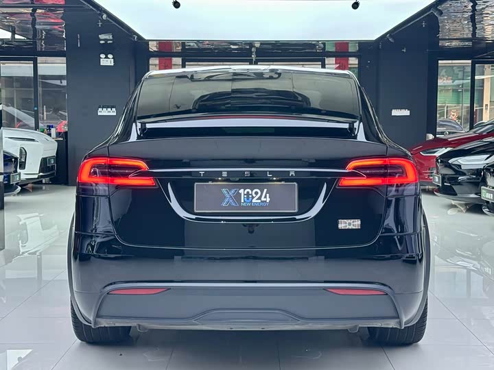 Tesla Model X, 2023 — фото 5 из 9