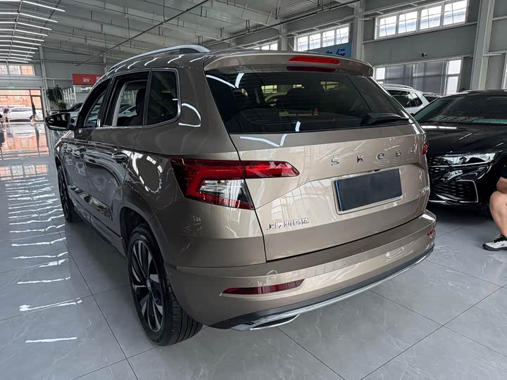 Skoda Karoq, 2022 — фото 6 из 9