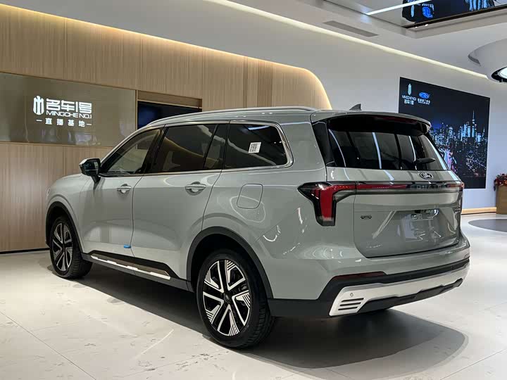 Ford Equator Hybrid, 2025 — фото 5 из 12