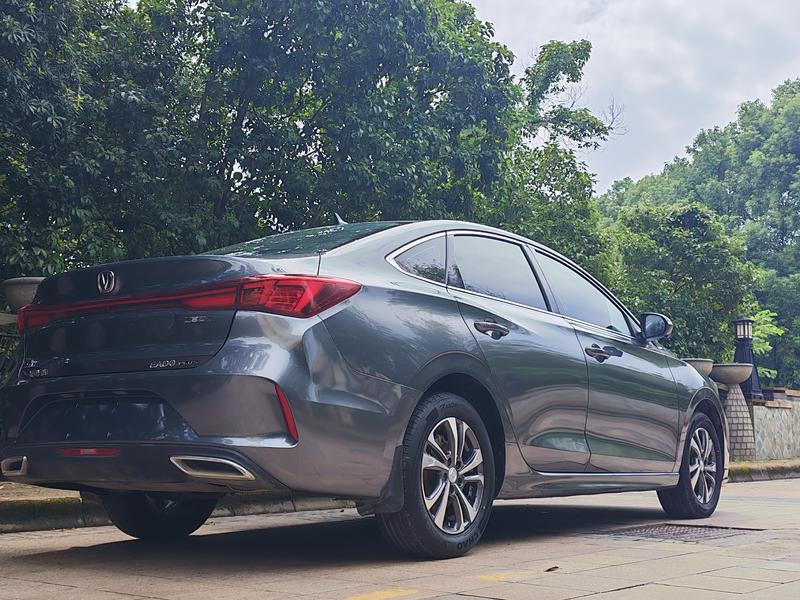 Changan Eado Plus, 2023 — фото 6 из 11