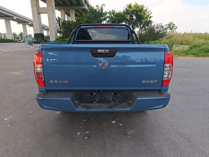 Dongfeng Rich 6 Pro, 2025 — фото 6 из 9