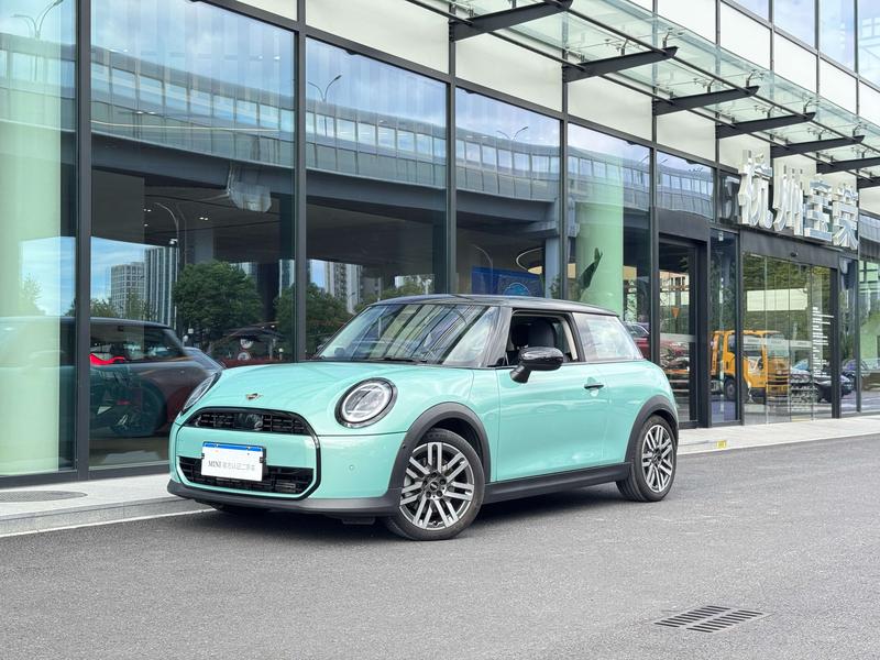 Mini Mini, 2024 — купить в Саранске под ключ