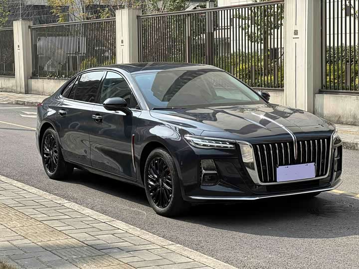 Hongqi H5, 2023 — фото 4 из 9