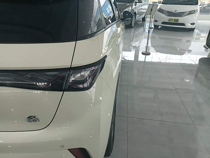 BYD Dolphin, 2022 — фото 8 из 9