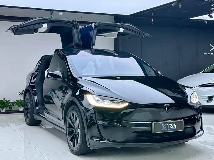 Tesla Model X, 2023 — фото 3 из 9