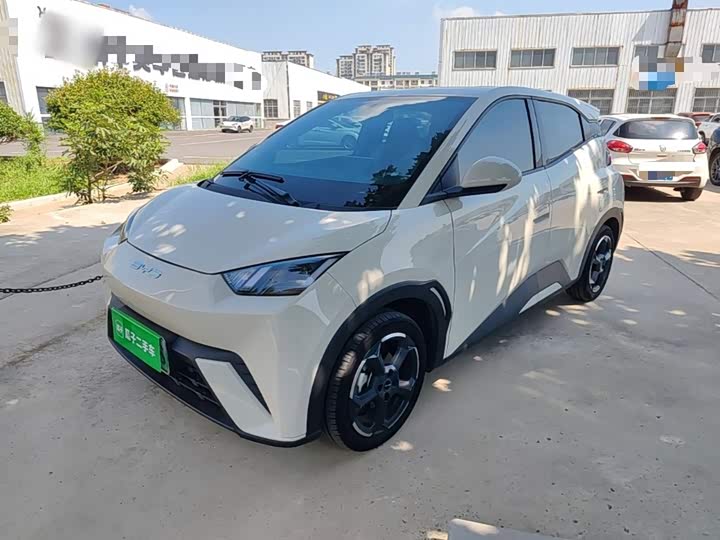 BYD Seagull, 2023 — купить в Рязани под ключ
