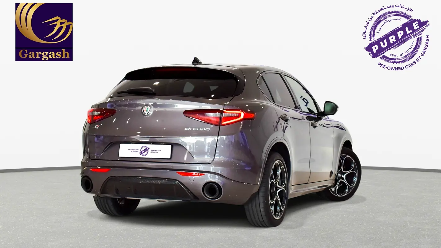 Alfa Romeo Stelvio, 2022 — фото 6 из 10