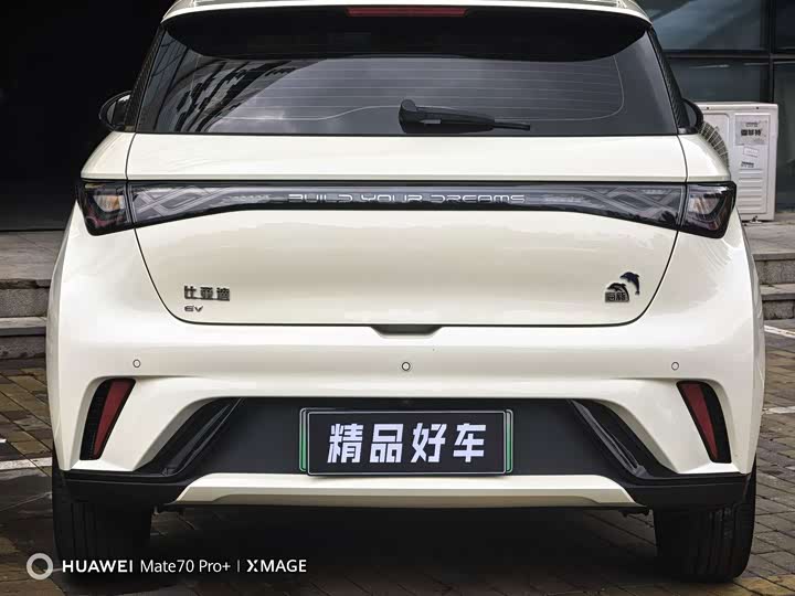 BYD Dolphin, 2023 — фото 6 из 9