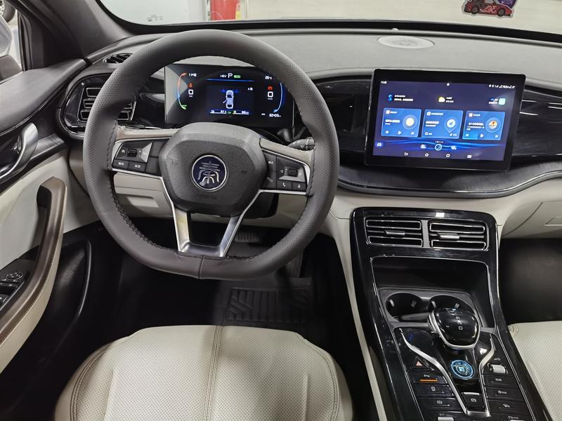 BYD Qin Plus, 2024 — фото 10 из 12
