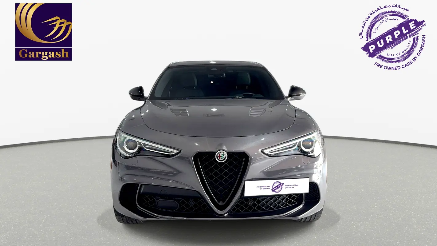 Alfa Romeo Stelvio, 2023 — фото 2 из 10