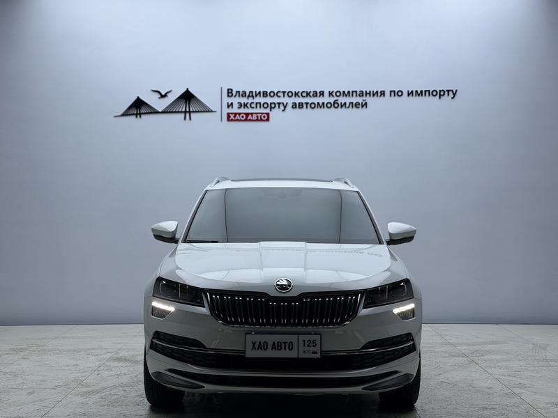 Skoda Karoq, 2023 — фото 2 из 12