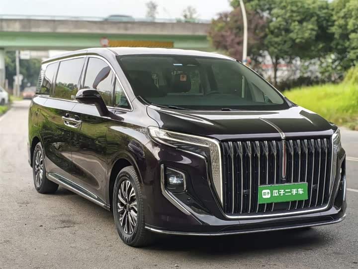 Hongqi HQ9 Hybrid, 2023 — фото 4 из 9