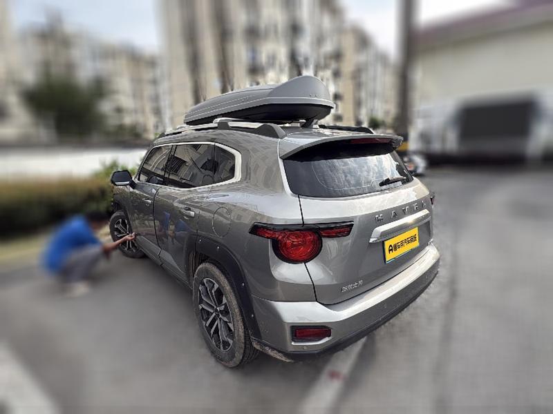 Haval H-Dog, 2023 — фото 6 из 12
