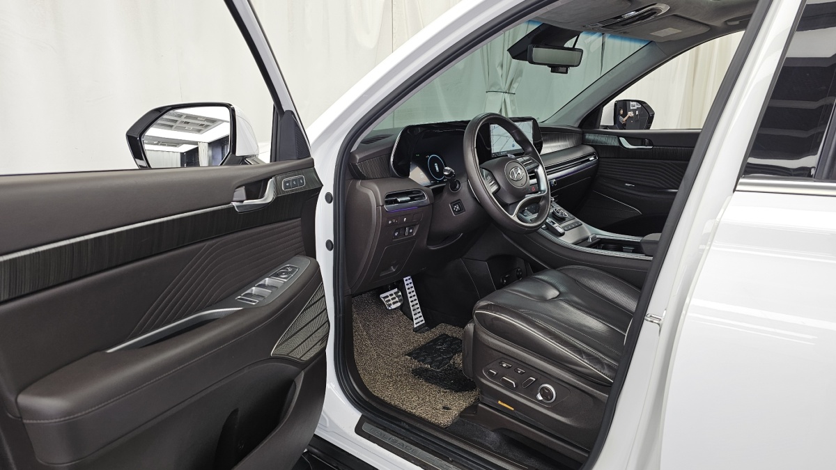 Hyundai Palisade, 2022 — фото 9 из 12