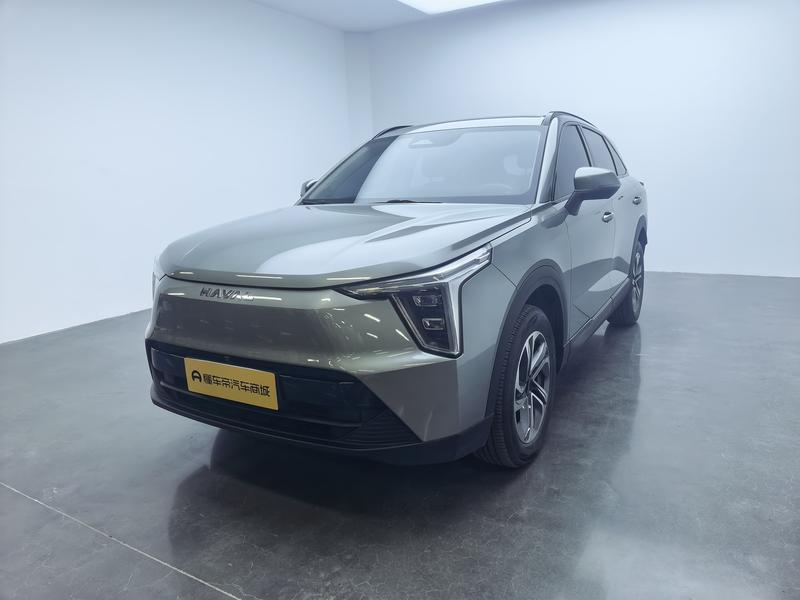 Haval Ruge, 2024 — купить в Санкт-Петербурге под ключ