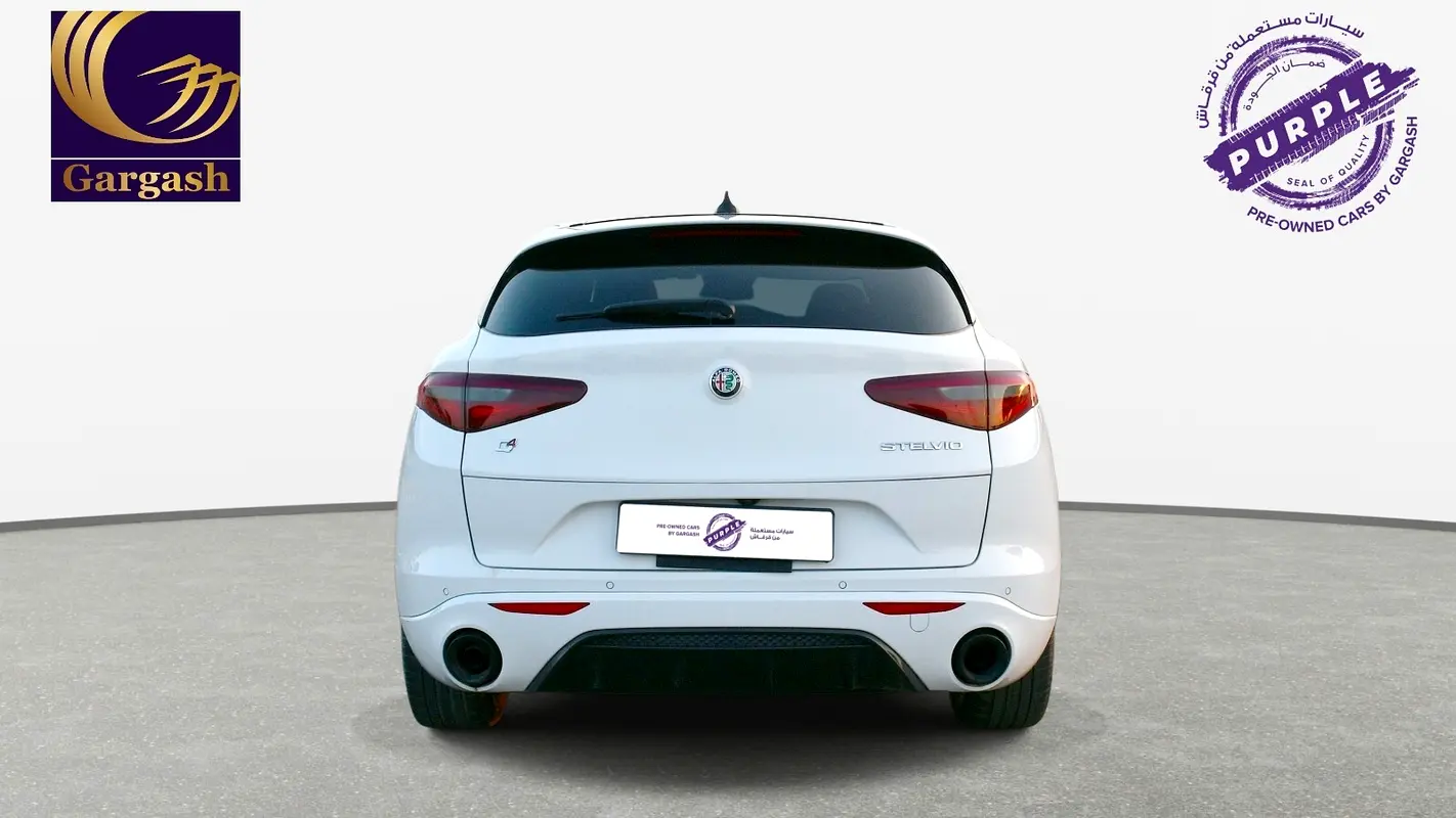 Alfa Romeo Stelvio, 2023 — фото 6 из 10