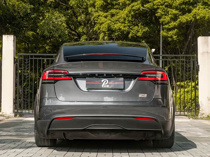 Tesla Model X, 2024 — фото 5 из 9