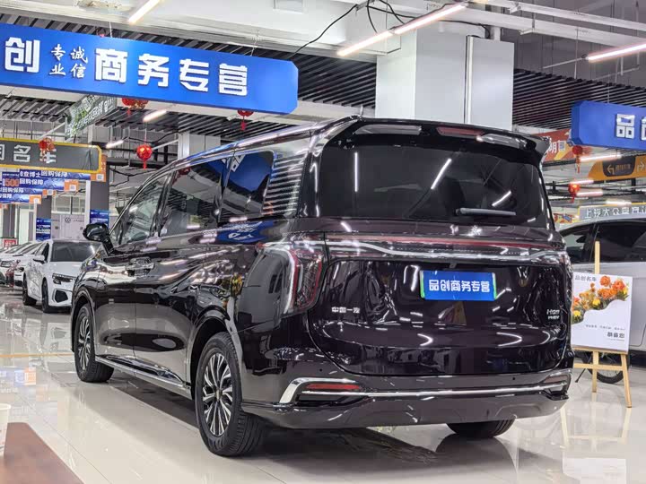 Hongqi HQ9 Hybrid, 2024 — фото 9 из 9