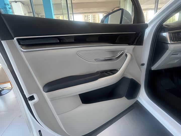 BYD Song Plus Hybrid/EV, 2021 — фото 5 из 9