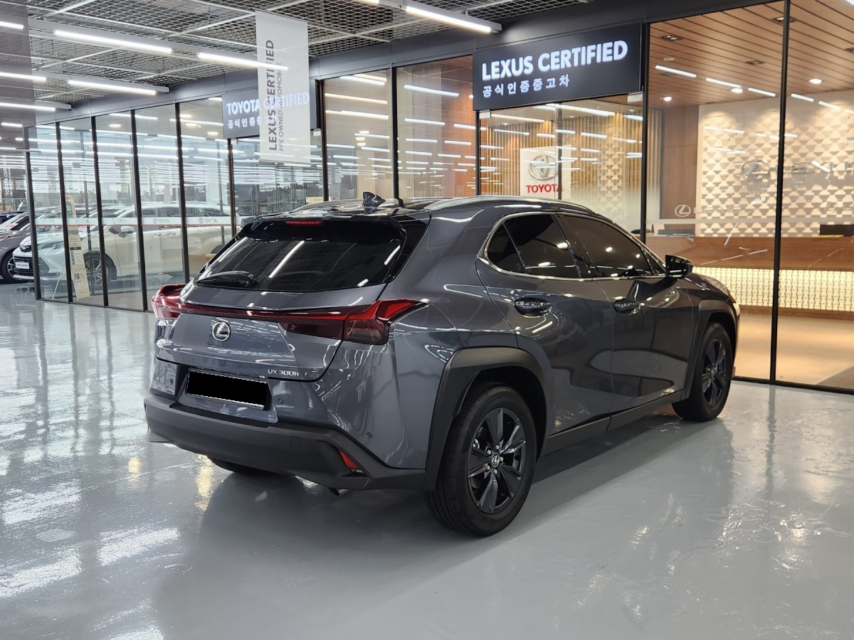 Lexus UX, 2025 — фото 2 из 12