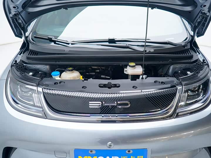 BYD Dolphin, 2023 — фото 8 из 9