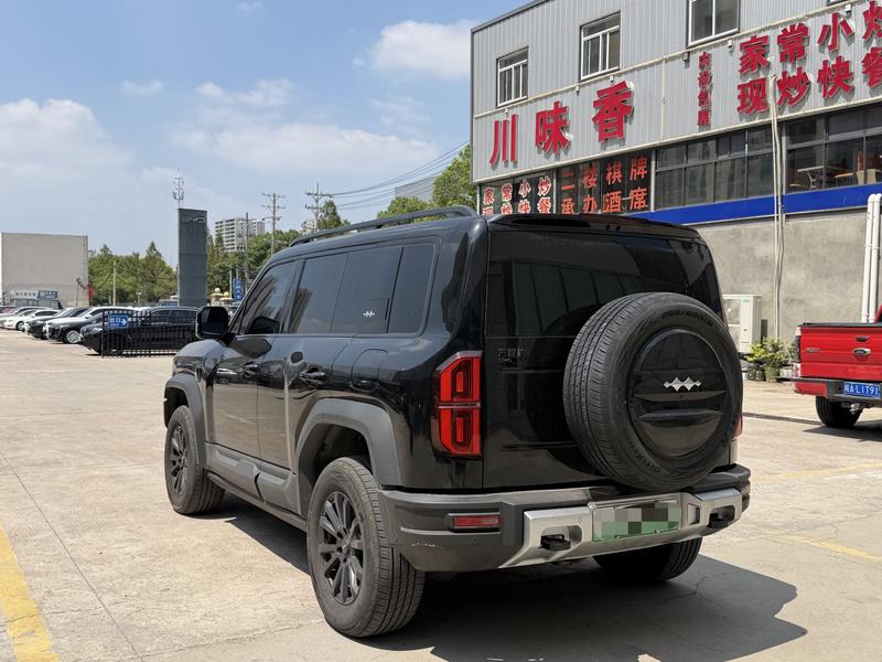 BYD FangChengBao Leopard 5, 2024 — фото 4 из 10