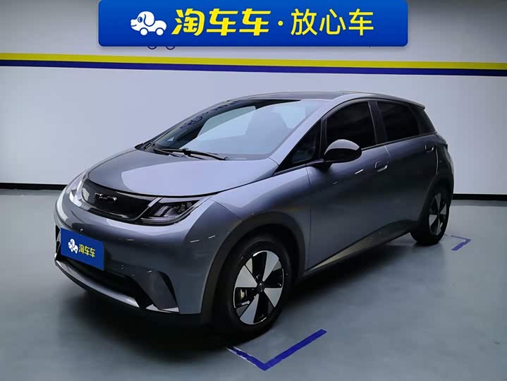 BYD Dolphin, 2024 — купить в Чебоксарах под ключ
