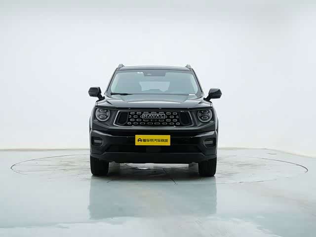 Haval H-Dog, 2023 — фото 7 из 9