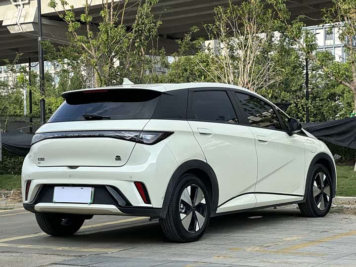 BYD Dolphin, 2023 — фото 7 из 9
