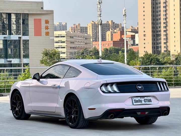 Ford Mustang, 2022 — фото 9 из 9