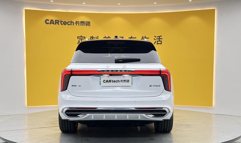 Hongqi E-HS9, 2023 — фото 6 из 12