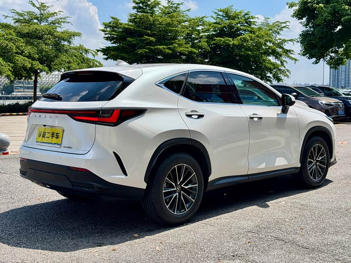 Lexus NX, 2024 — фото 5 из 9