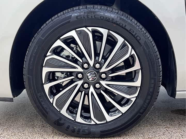 Buick GL8 Hybrid, 2025 — фото 9 из 9