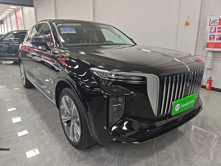 Hongqi E-HS9, 2023 — фото 4 из 9