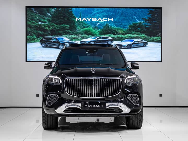 Mercedes-Benz Maybach GLS, 2024 — фото 2 из 9