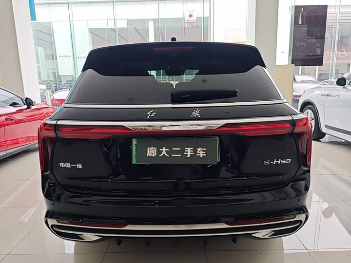 Hongqi E-HS9, 2023 — фото 4 из 9