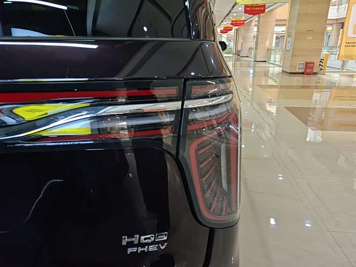 Hongqi HQ9 Hybrid, 2024 — фото 8 из 9