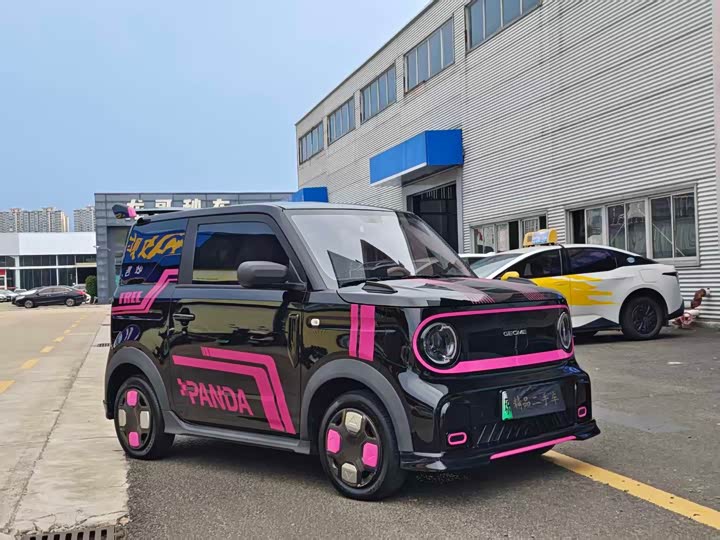 Geely Galaxy Panda Mini, 2024 — фото 3 из 9