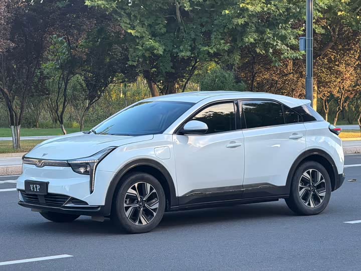Hozon U, 2023 — купить в Тольятти под ключ