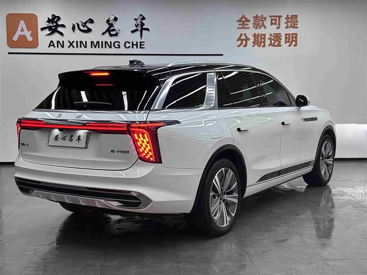 Hongqi E-HS9, 2023 — фото 3 из 9