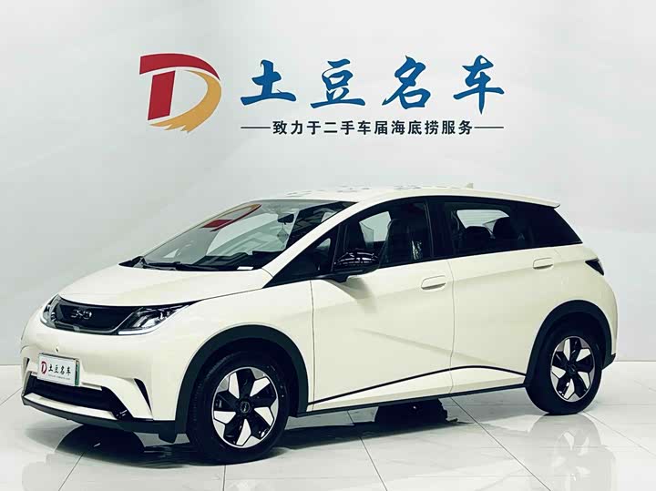 BYD Dolphin, 2025 — купить в Костроме под ключ