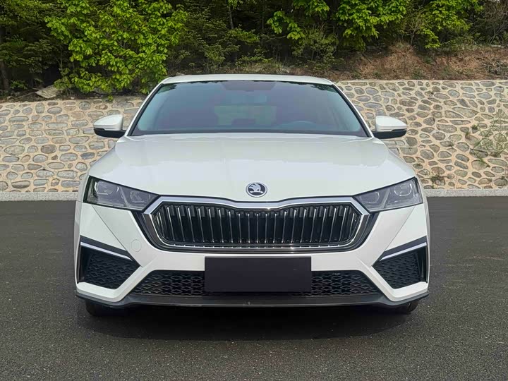 Skoda Octavia Pro, 2023 — фото 2 из 9