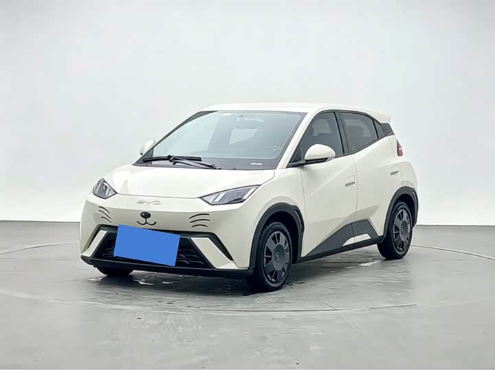 BYD Seagull, 2024 — купить в Санкт-Петербурге под ключ